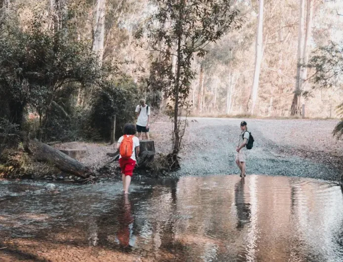 Pengelolaan DAS Lampung: Kunci Utama Pengendalian Banjir Berkelanjutan