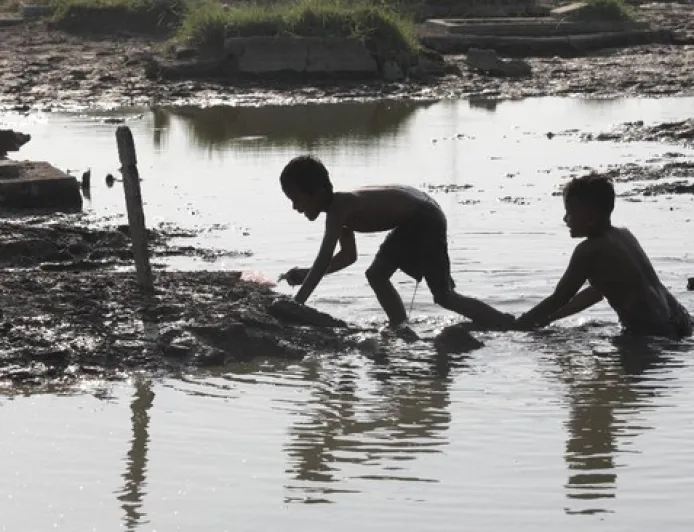 Ikan Lele, Favorit Warga RI yang Rentan Menyerap Racun Air