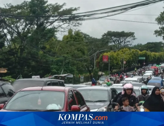 Jalur Mudik Cianjur Rawan Longsor dan Pohon Tumbang, Pemudik Diminta Waspada