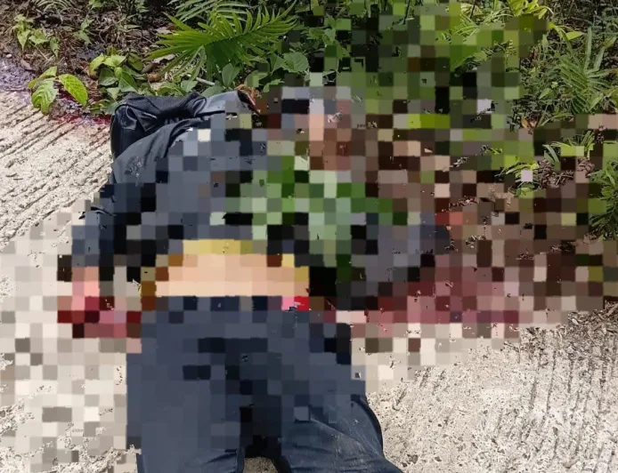 Dua Orang Tewas Diserang Kelompok Kriminal Bersenjata di Tambrauw Papua