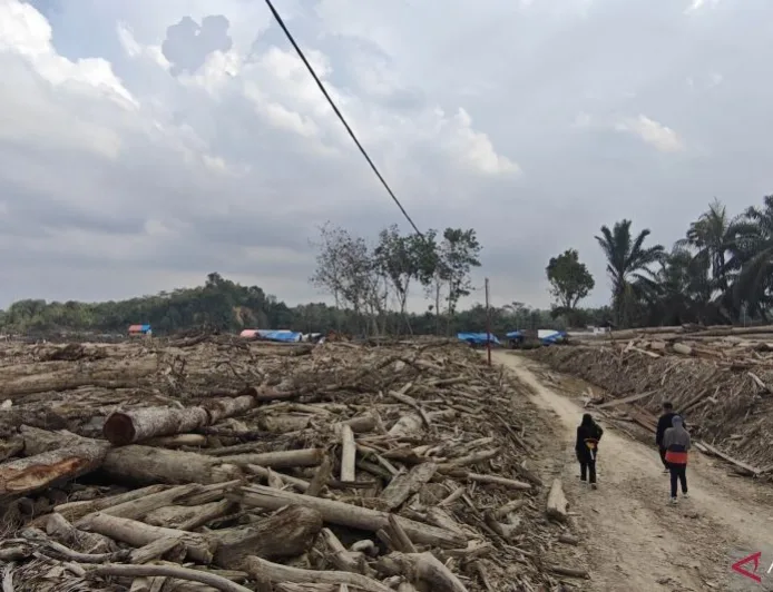 Penyintas Banjir Aceh Timur Beralih Profesi Jadi Buruh Kayu untuk Bertahan Hidup