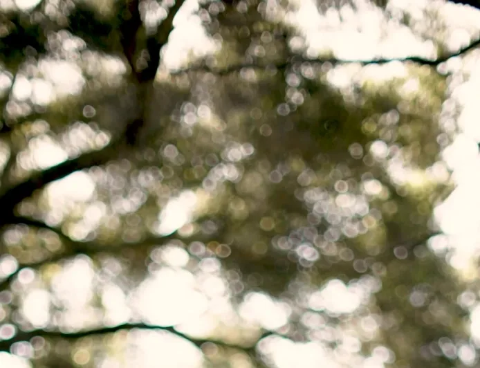 Anak Muda Silicon Valley Ciptakan Agen AI, Tapi Malah Cemas Kurang Waktu Bersama Teknologi