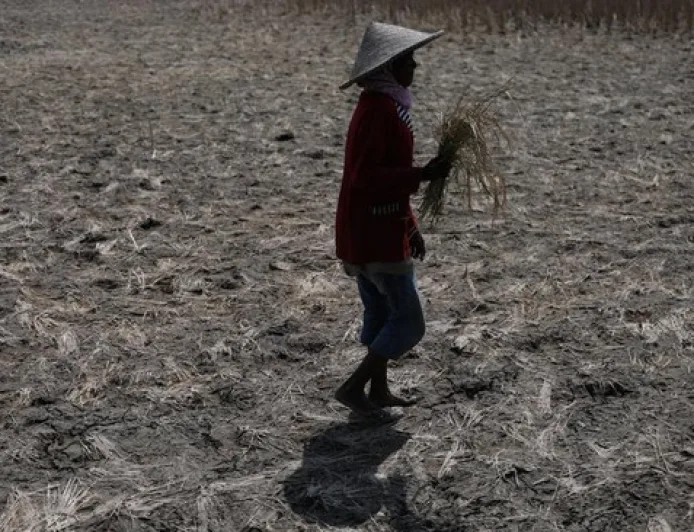 BRIN Peringatkan El Nino Godzilla: Waspadai Kekeringan dan Banjir di Indonesia 2026