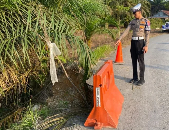 Longsor di Jalan Desa Wonorejo, Kendaraan Berat Dilarang Melintas Sementara