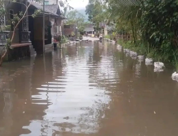 Banjir di Dusun Rowoganjar Semarang Akibat Debit Air Tinggi Setelah Hujan Deras