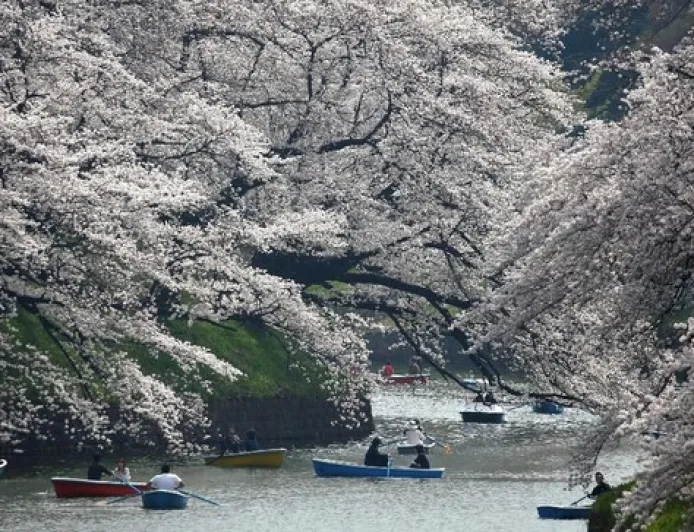 Liburan ke Jepang Makin Mahal, Turis Asing Kini Wajib Bayar Pajak dan Daftar Elektronik