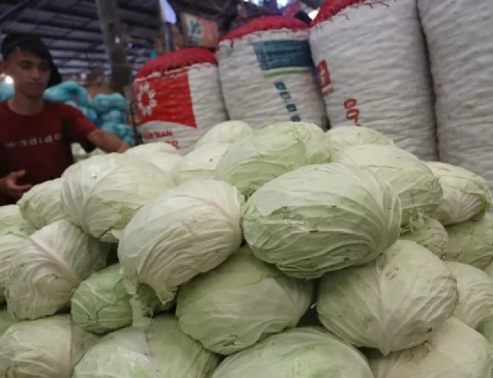 5 Golongan Orang yang Harus Hindari Sayur Kol dan Dampaknya bagi Kesehatan