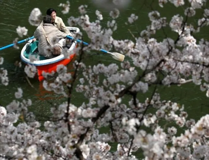 Biaya Visa Jepang Naik Mulai 1 April 2026, Cek Harga Terbaru dan Cara Pengajuan