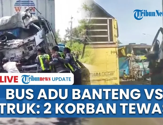 Kecelakaan Maut Bus Adu Banteng Vs Truk di Situbondo: Ayah dan Anak Tewas