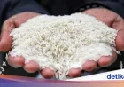 Produksi Beras RI Turun 2,22% di 2026, Panen Menyusut 380 Ribu Ton