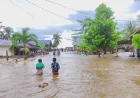 Banjir di Banggai dan Morowali Sulteng: Puluhan Rumah Terendam Akibat Hujan Deras
