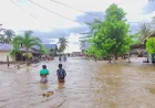 Puluhan Rumah di Banggai dan Morowali Terdampak Banjir Akibat Hujan Ekstrem