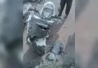 Perempuan Pengendara Supra Meninggal Akibat Tabrakan Adu Depan dengan PCX di Pasuruan