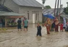 BPBD Sulteng Laporkan 552 Rumah Terdampak Banjir di Balaesang dan Sirenja
