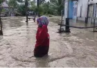 Banjir Donggala Rendam 30 Rumah di Desa Labean, Ini Penyebab dan Penanganannya