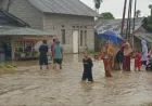 552 Rumah Terdampak Banjir di Balaesang dan Sirenja, Donggala