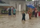 Banjir di Balaesang dan Sirenja: 552 Rumah Terdampak, Ini Langkah Penanganannya