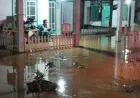 Korban Banjir Parigi Moutong Kembali ke Rumah Setelah Air Surut