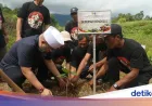 Bengkulu Dapat Rp 23,55 M untuk Transformasi Ekonomi Perhutanan Sosial dan Kopi Robustanya