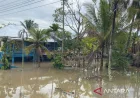 Banjir Bengkulu Akibat Hujan Lebat, Ratusan Rumah Terendam Air Lebih dari 1 Meter