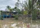 Banjir di Kota Bengkulu Rendam Ratusan Rumah, Ini Penyebab dan Dampaknya
