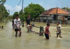 Banjir Demak 2026: Satu Anak Tewas dan Ribuan Warga Terdampak
