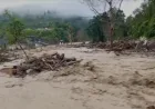 Banjir Bandang Kembali Landa Aceh Tengah, Dua Jembatan Darurat Ambruk