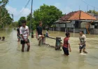 Banjir Demak Sebabkan Satu Korban Jiwa Anak 8 Tahun Terbawa Arus