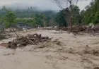 Aceh Tengah Kembali Dilanda Banjir Bandang, Dua Jembatan Darurat Ambruk