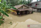 Banjir Melanda Kota Bengkulu: 2.688 KK Terdampak dan Penanganan Terbaru