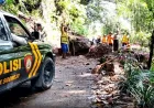 Longsor Tebing 20 Meter Lumpuhkan Jalan Penghubung Dua Kecamatan di Magetan