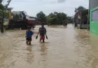 BNPB Catat Banjir Rendam Wilayah Jembrana dan Donggala Awal April 2026