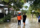 Banjir Bengkulu Tengah 2026: 219 KK Terdampak, Air Mulai Surut