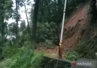 Longsor Besar Tutup Jalan Provinsi Lintas Selatan di Garut, Akses Terputus