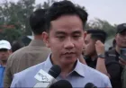Wapres Gibran Tegaskan Proses Hukum Kasus Penyiraman Air Keras Andrie Yunus Harus Jujur