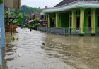 Gorong-Gorong Sempit Picu Banjir Parah di Desa Cikayas Pandeglang
