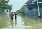 Banjir Rob Ganggu 10 Persen Jalan di Semarang, Waktu Tempuh dan Biaya Melonjak