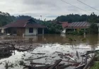 Banjir di Poso Rendam 60 Rumah, Ini Dampak Hujan Deras di Sulawesi Tengah