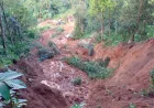 Longsor Gunung Ranggasena Bandung Barat: Warga Dengar Suara Gemuruh Sebelum Bencana