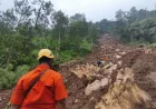 Tebing Curam Ponorogo Ancam Rumah Warga, BPBD Libatkan Ahli Geologi