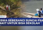 Jembatan Putus di Jember, Siswa Nekat Seberangi Sungai Demi Sekolah