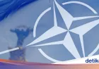 NATO Tolak Gabung Blokade Selat Hormuz Bersama AS, Ini Dampaknya
