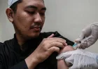 Vaksinasi Calon Haji Mulai Digelar untuk Cegah Meningitis dan Polio