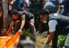 HP Terduga Pembunuh Pedagang di TPU Sialogo Tapsel Ditinggal di Lokasi Kejadian