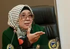 DPRD Sulteng Kritik Sistem Izin Tambang Terpusat Usai Kecelakaan di PT Fajar Metal