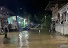 15 Desa di OKU Sumsel Terendam Banjir, 1.206 Rumah Terdampak