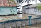 BPBD Sulteng Koordinasi Pendataan Dampak Banjir Rob di Buol dan Banggai Laut