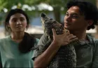Sinopsis Film Crocodile Tears: Dilema Cinta dan Kasih Ibu yang Mengekang di Bioskop