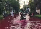 Banjir Merah di Solo: Warga Tetap Santai Meski Air Tercemar Pewarna