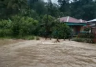 Banjir Besar Melanda 4 Daerah di Sumut, Ini Dampak dan Penyebabnya